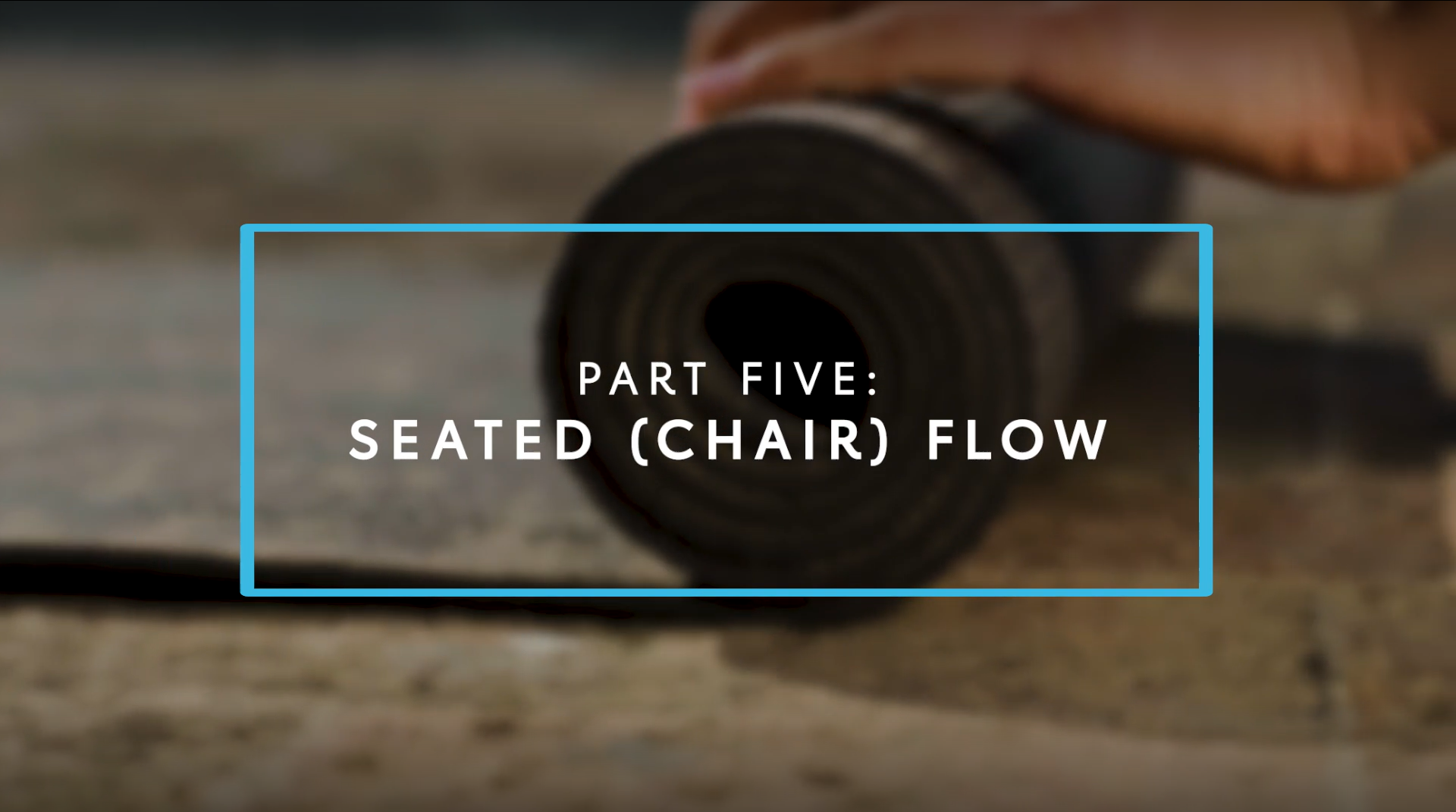 Part Five: Seated Yoga Flow (Chair Yoga)
