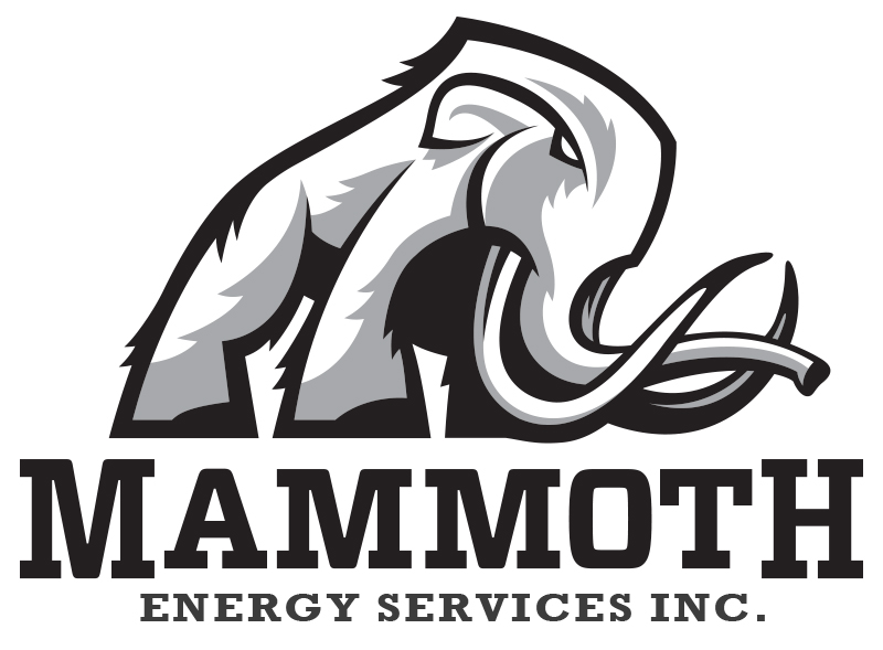 level2 | Mammoth Energy